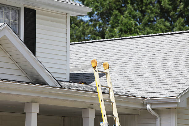 Best Hoarding Cleanup  in Brookston, IN
